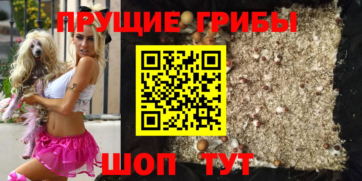 Галлюциногенные грибы Psilocybine cubensis Солнечногорск