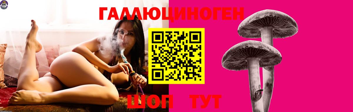 Галлюциногенные грибы GOLDEN TEACHER  Вход с VPN  Солнечногорск 